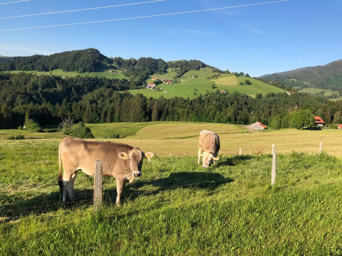 / Allgäu * Steibis