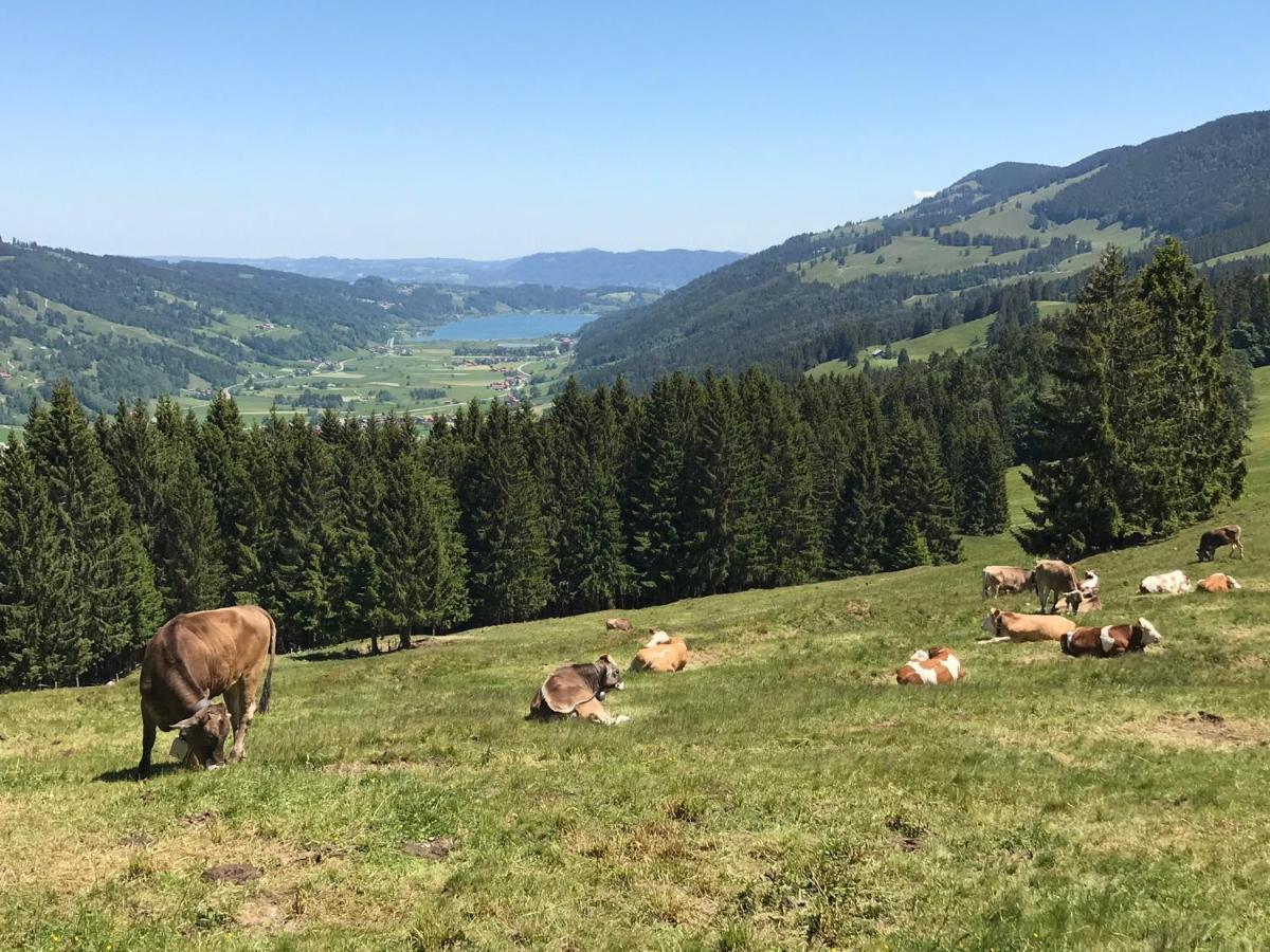 / Allgäu Steibis