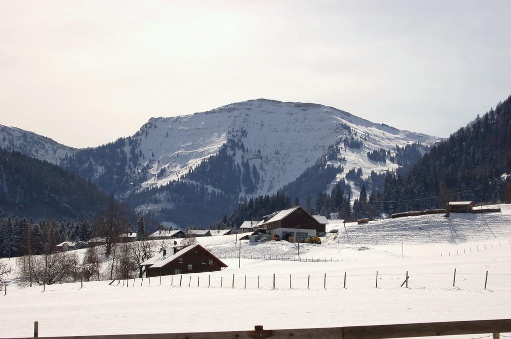 / Allgäu * Steibis